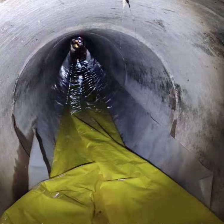 施甸管道光固化修复